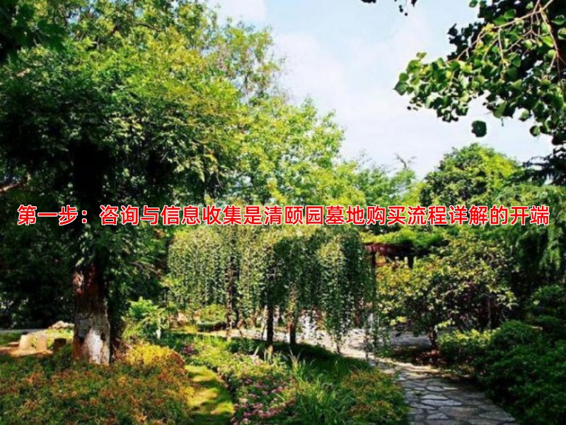 想在清颐园购买墓地应该怎样开始第一步