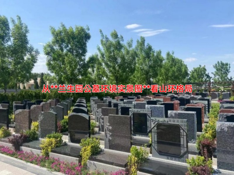 从**兰生园公墓环境实景图**看山环格局