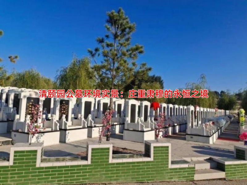 清颐园公墓环境实景：庄重肃穆的永恒之境