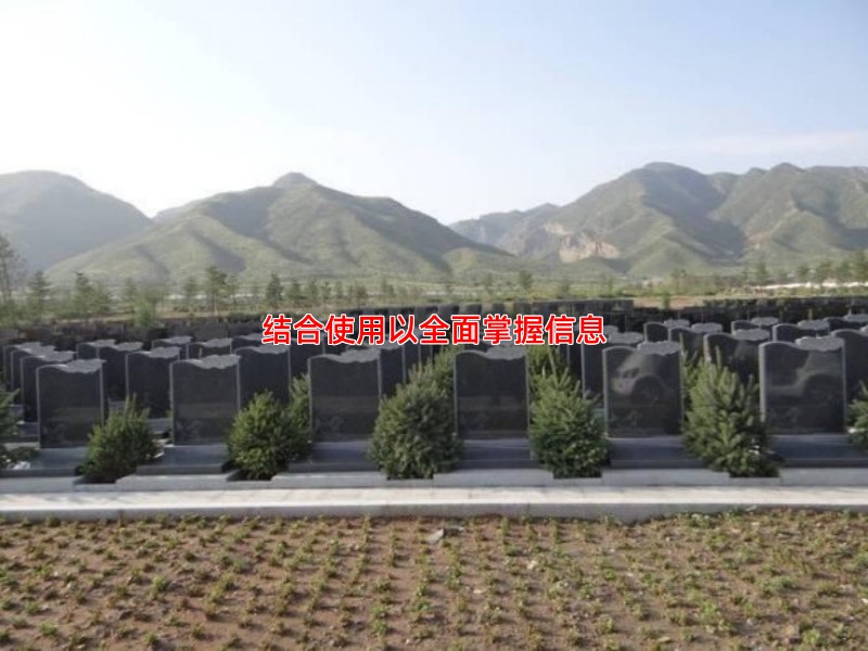 结合使用以全面掌握信息