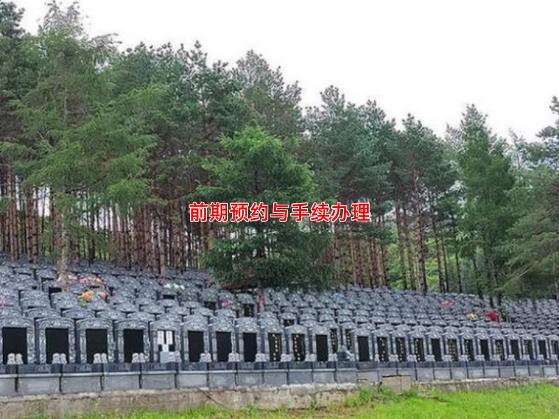 前期预约与手续办理