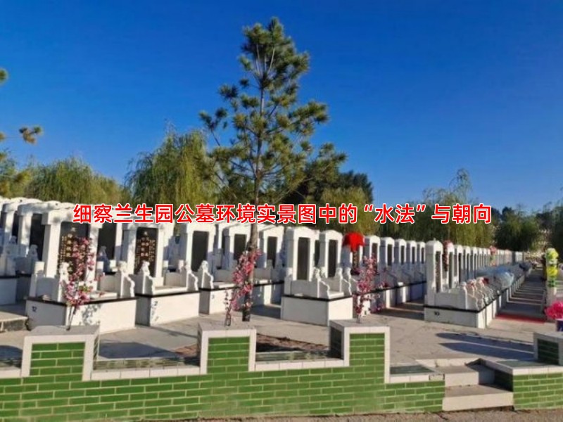 细察兰生园公墓环境实景图中的“水法”与朝向