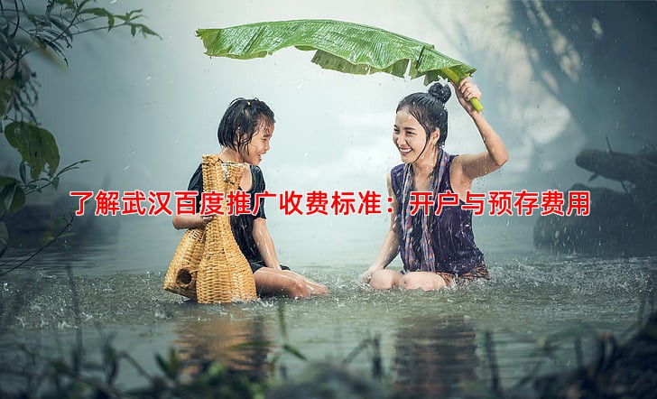 了解武汉百度推广收费标准：开户与预存费用