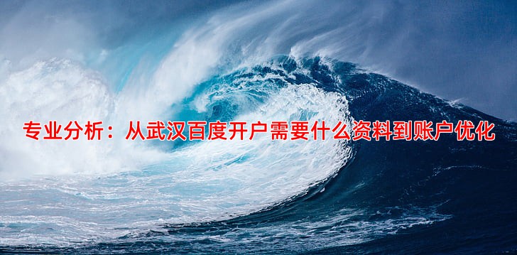 专业分析：从武汉百度开户需要什么资料到账户优化