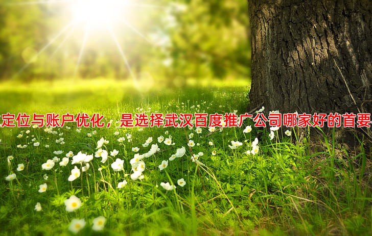 精准定位与账户优化，是选择武汉百度推广公司哪家好的首要标准