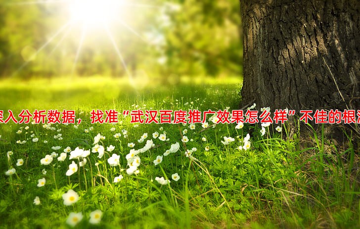 深入分析数据，找准“武汉百度推广效果怎么样”不佳的根源