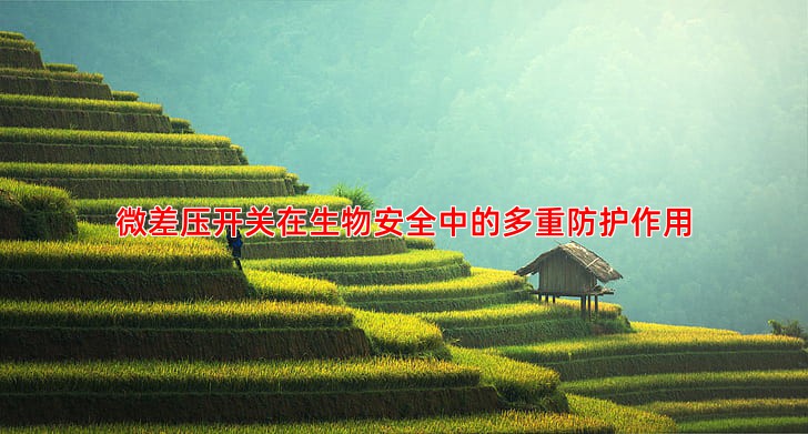 微差压开关在生物安全中的多重防护作用