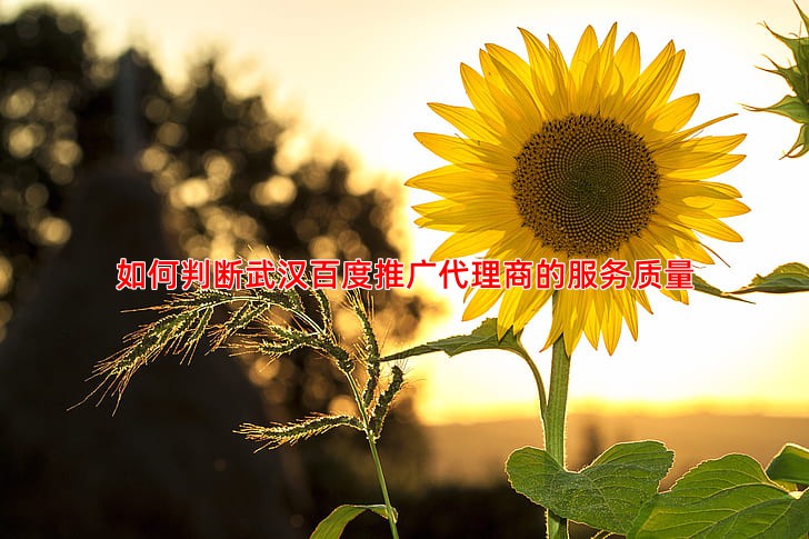 如何判断武汉百度推广代理商的服务质量