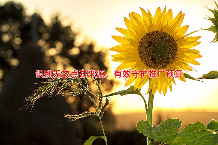 识别无效点击来源，有效守护推广预算