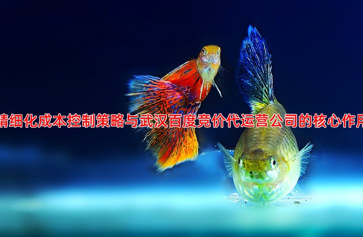精细化成本控制策略与武汉百度竞价代运营公司的核心作用