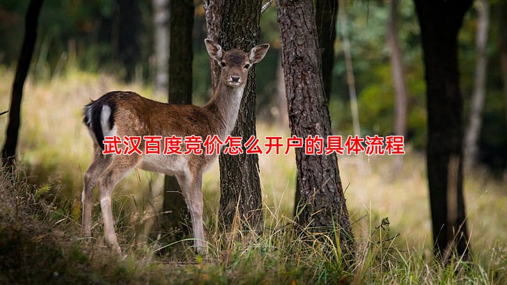 武汉百度竞价怎么开户的具体流程