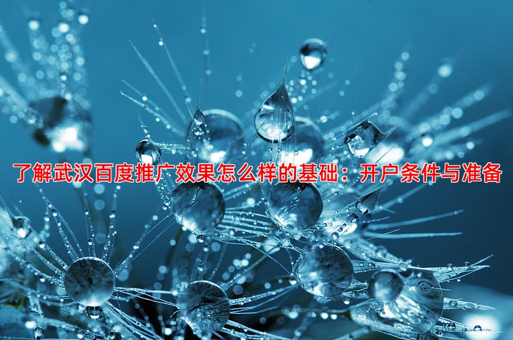 了解武汉百度推广效果怎么样的基础：开户条件与准备