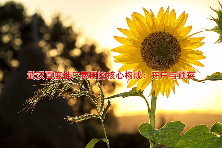 武汉百度推广费用的核心构成：开户与预存