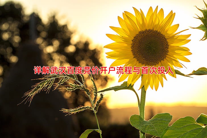 详解武汉百度竞价开户流程与首次投入