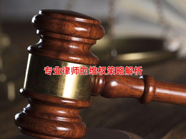 专业律师的维权策略解析