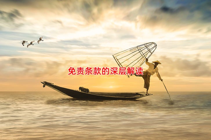 免责条款的深层解读