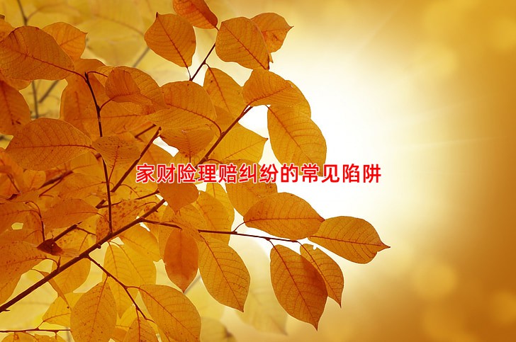 家财险理赔纠纷的常见陷阱