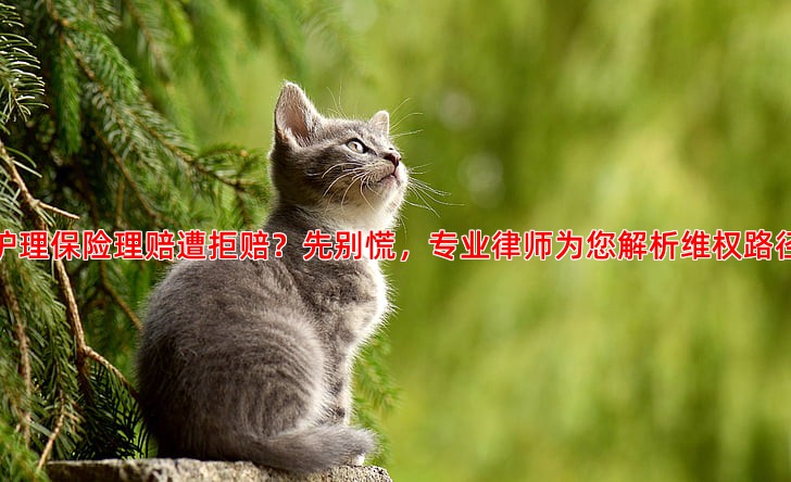 护理保险理赔遭拒赔？先别慌，专业律师为您解析维权路径