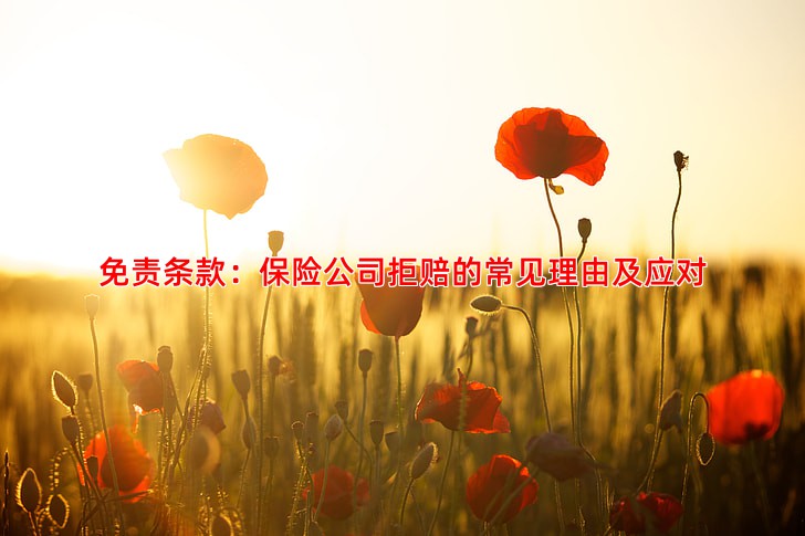 免责条款：保险公司拒赔的常见理由及应对