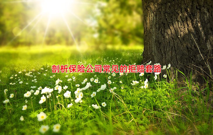 剖析保险公司常见的拒赔套路