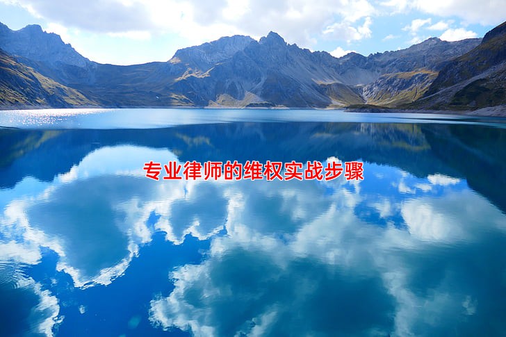 专业律师的维权实战步骤