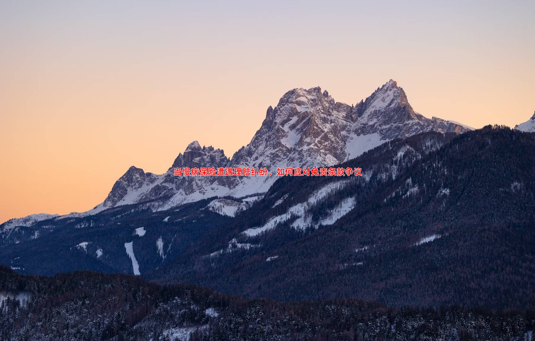 当慢病保险遭遇理赔纠纷，如何应对免责条款争议