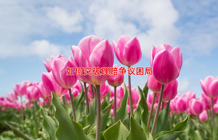 如何突破理赔争议困局
