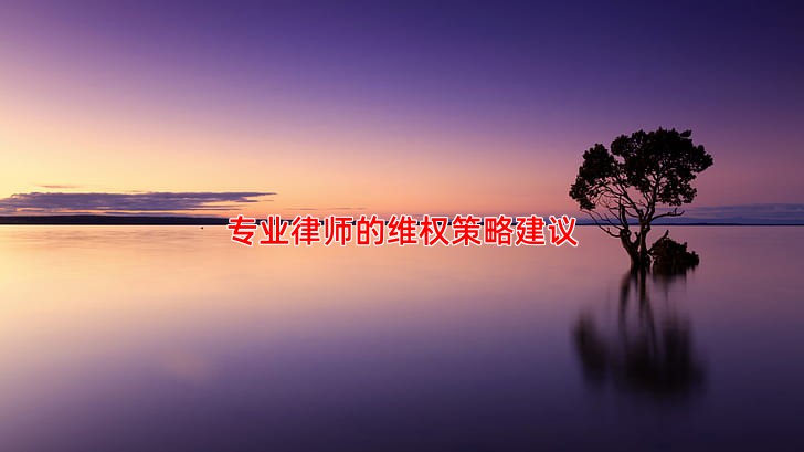 专业律师的维权策略建议