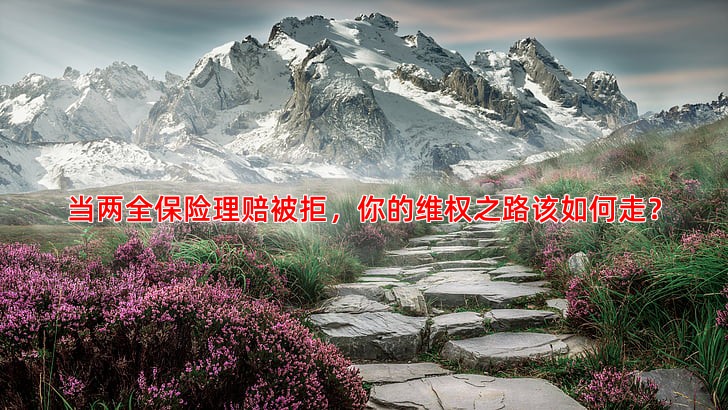 当两全保险理赔被拒，你的维权之路该如何走？
