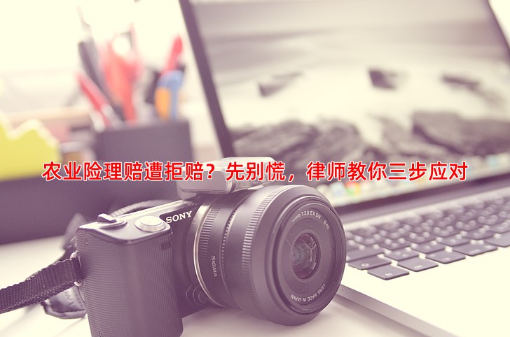 农业险理赔遭拒赔？先别慌，律师教你三步应对