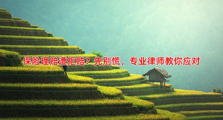 保险理赔遭拒赔？先别慌，专业律师教你应对