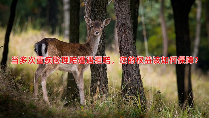 当多次重疾险理赔遭遇拒赔，您的权益该如何保障？