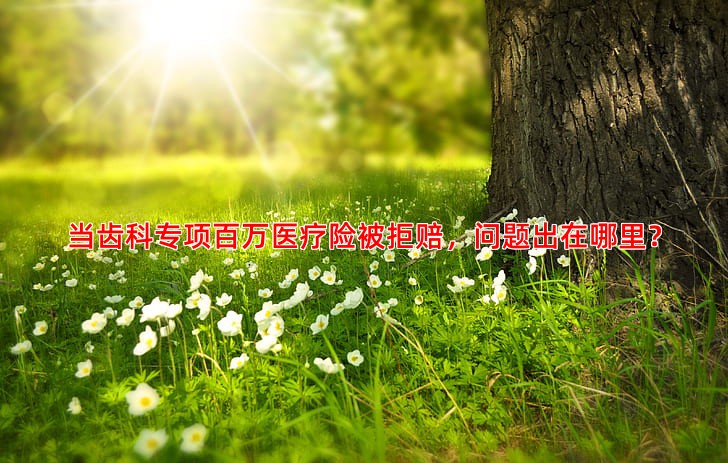 当齿科专项百万医疗险被拒赔，问题出在哪里？
