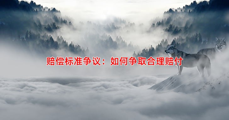 赔偿标准争议：如何争取合理赔付