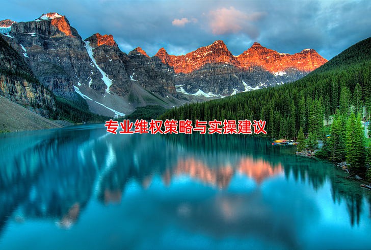 专业维权策略与实操建议