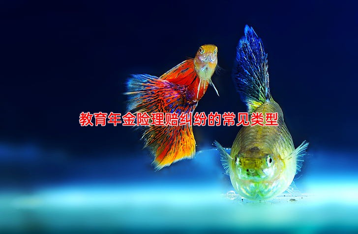 教育年金险理赔纠纷的常见类型
