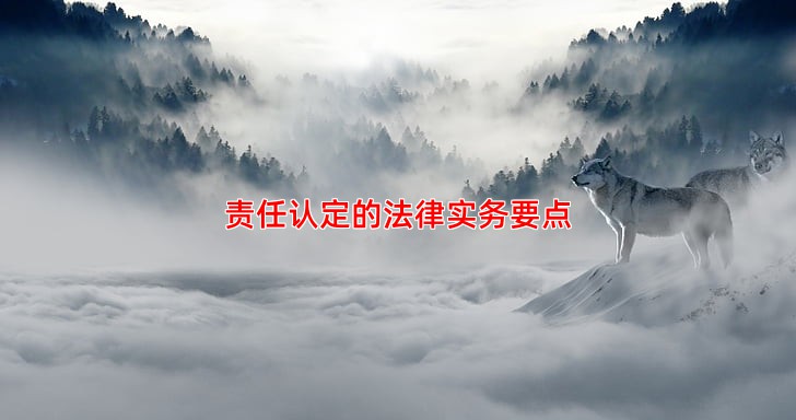 责任认定的法律实务要点