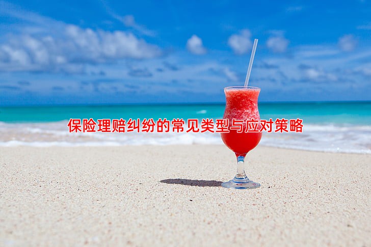 保险理赔纠纷的常见类型与应对策略