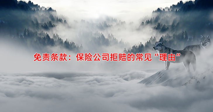 免责条款：保险公司拒赔的常见“理由”