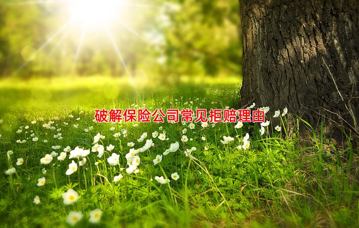 破解保险公司常见拒赔理由