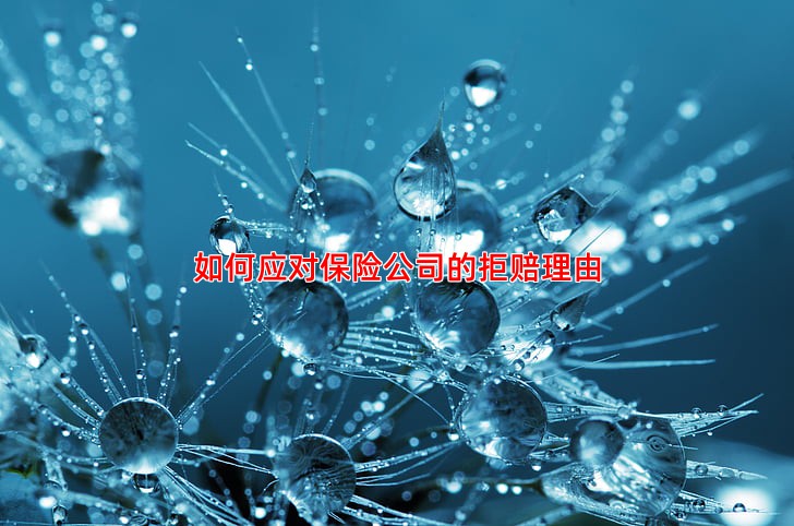 如何应对保险公司的拒赔理由