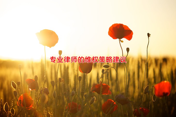 专业律师的维权策略建议