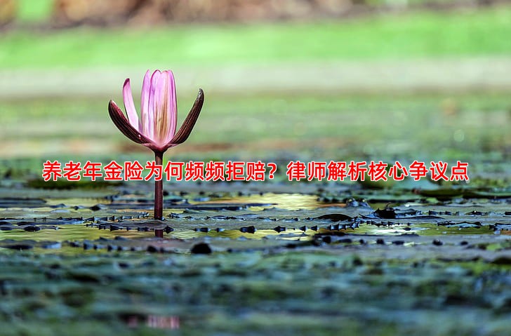 养老年金险为何频频拒赔？律师解析核心争议点