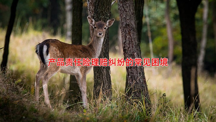 产品责任险理赔纠纷的常见困境