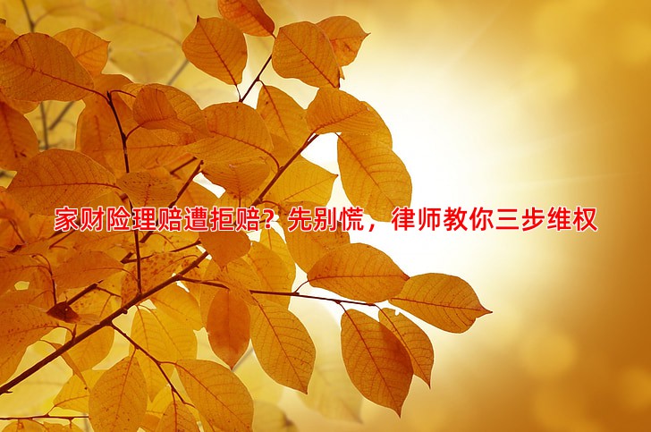 家财险理赔遭拒赔？先别慌，律师教你三步维权