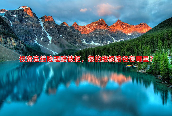 投资连结险理赔被拒，您的维权路径在哪里？