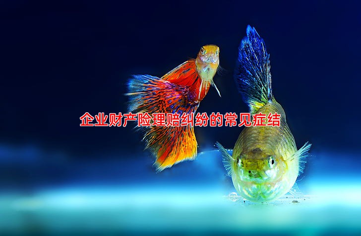 企业财产险理赔纠纷的常见症结