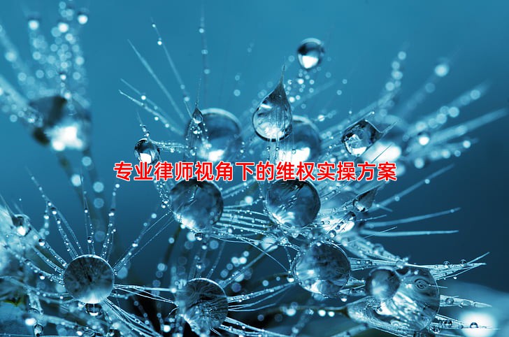 专业律师视角下的维权实操方案