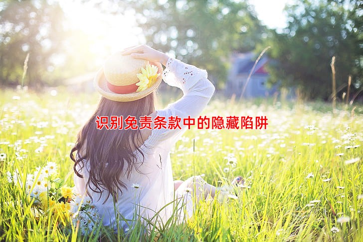 识别免责条款中的隐藏陷阱