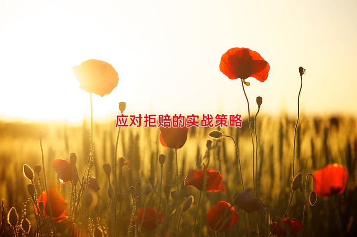 应对拒赔的实战策略